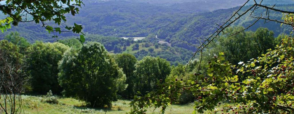 Mooi uitzicht op gebied Puy de Dome