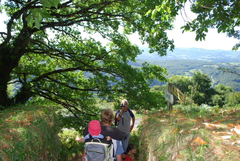 wandelweek bij plateau les orgues